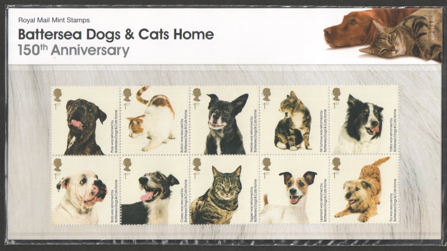 (image for) 2010 Battersea Cats & Dogs Home Presentation Pack 438 - Click Image to Close